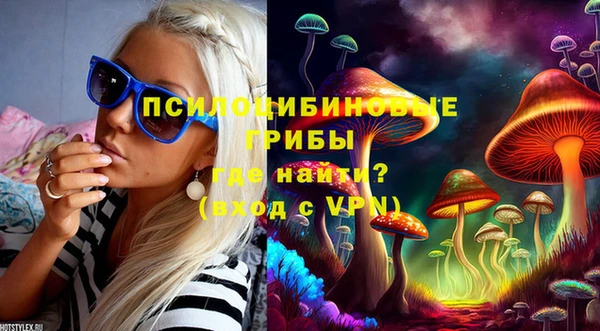 дживик Алексин