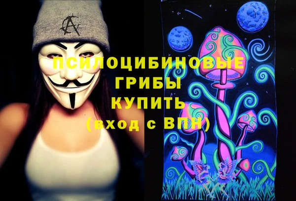 дживик Алексин