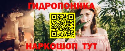 гашик Гусев