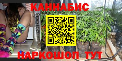 гашик Гусев