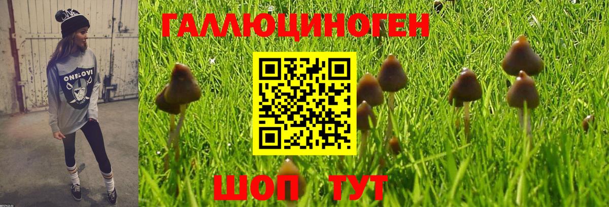 Псилоцибиновые грибы мицелий  Псилоцибиновые грибы Psilocybe  Вход с VPN  Мичуринск 